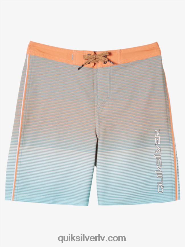 zēni Quiksilver 8-16 surfsilk masīvi 17 dēļu šorti kameja zils 88064R1908