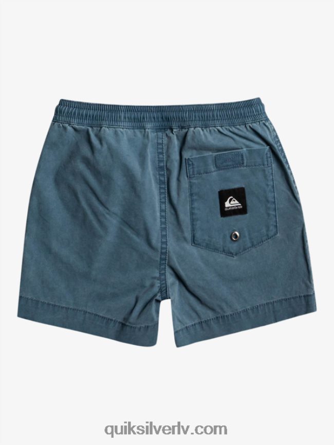 zēni Quiksilver 2-7 takseru elastīgie šorti pusnakts flote 88064R2216