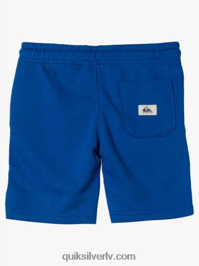 zēni Quiksilver 2-7 vieglas dienas skriešanas snorkel zils 88064R2078