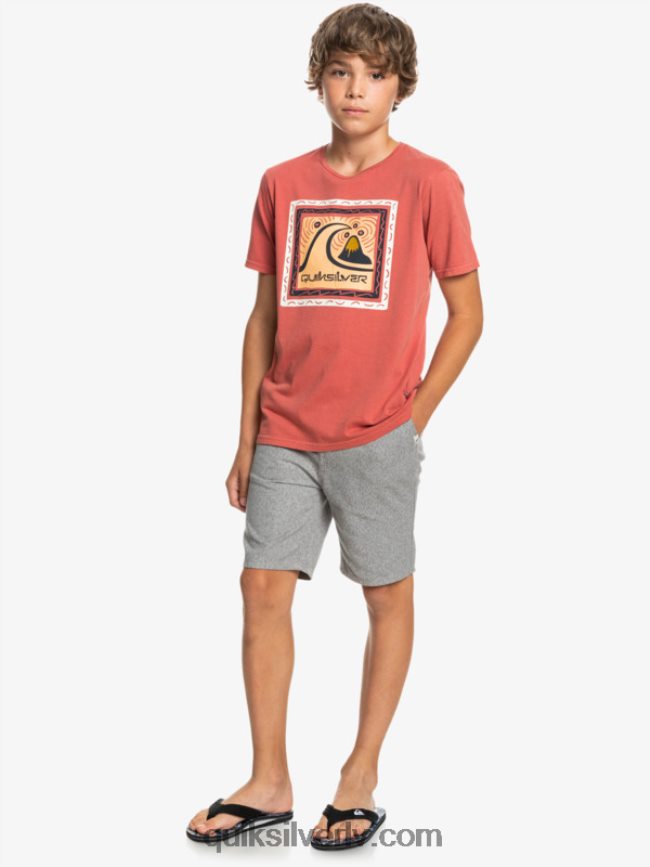 zēni Quiksilver 8-16 ikdienā 17 čino šorti gaiši pelēki virši 88064R2286