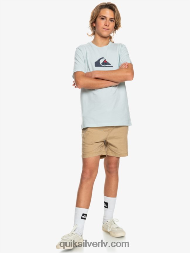 zēni Quiksilver 8-16 taxer 15 elastīgi vidukļa šorti plage 88064R2080