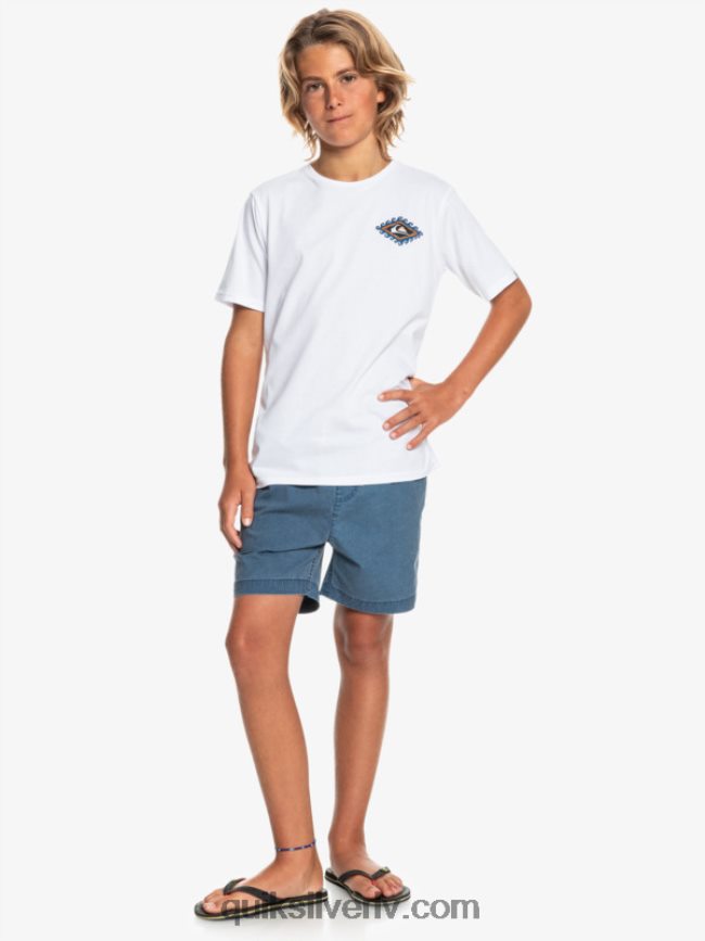 zēni Quiksilver 8-16 taxer 15 elastīgi vidukļa šorti zīmotnes zilā krāsā 88064R2083