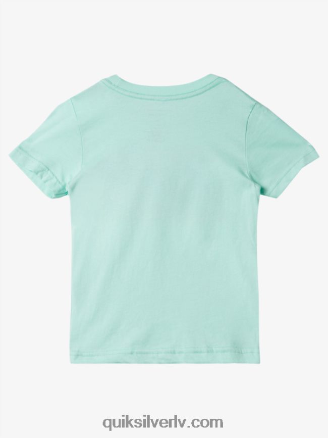 zēni Quiksilver 2-7 rad mantojuma t-krekls pludmales stikls 88064R1958
