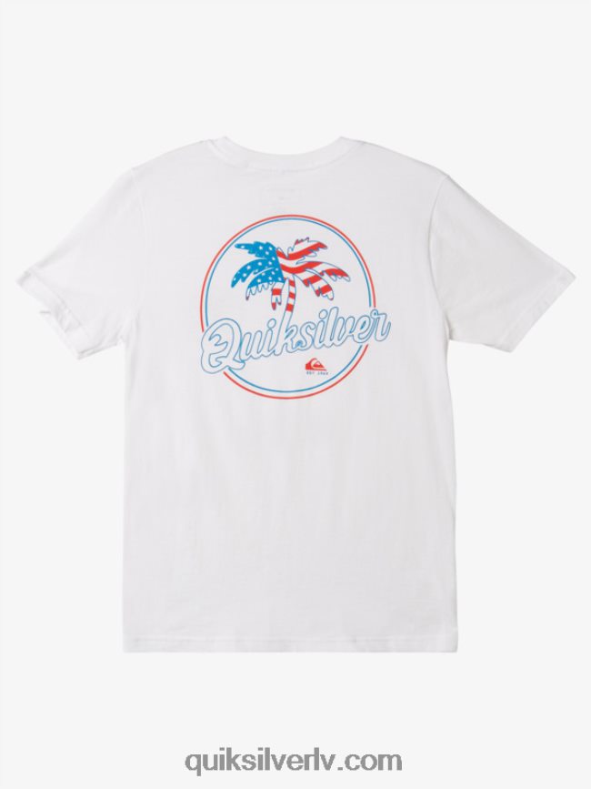 zēni Quiksilver 8-16 palmu vējains t-krekls balts 88064R1956