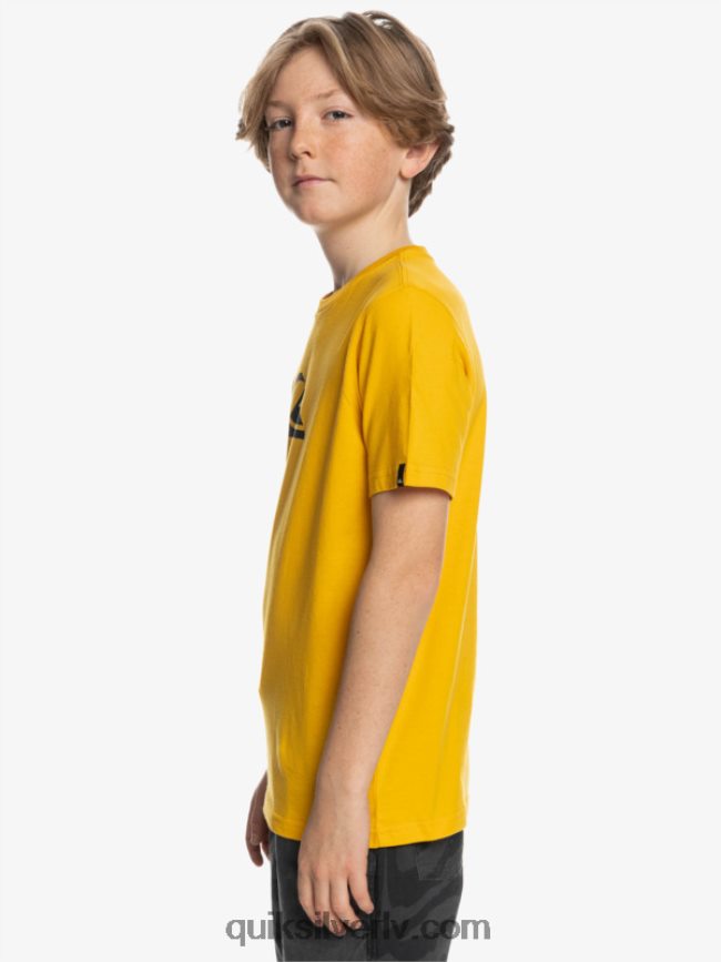 zēni Quiksilver comp logo - t-krekls zelta stienis 88064R2316